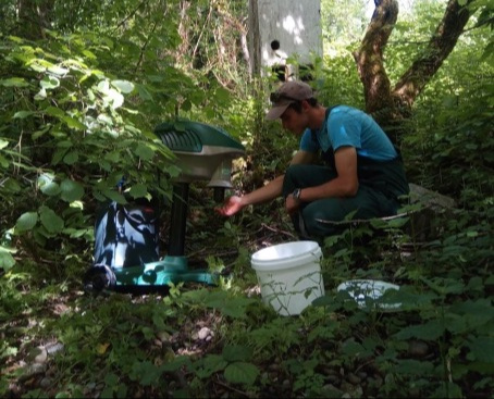 Forêt 4 lutte moustique 